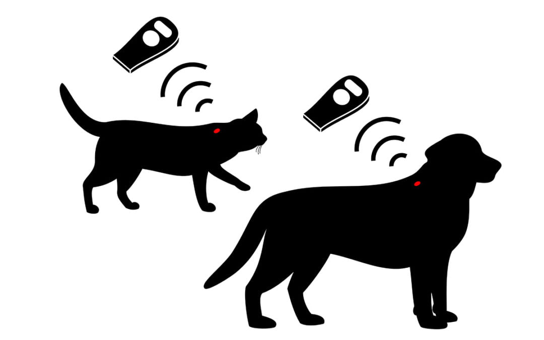 MICROCHIPPING